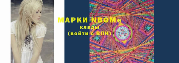 индика Бронницы