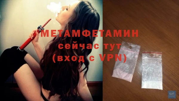 индика Бронницы