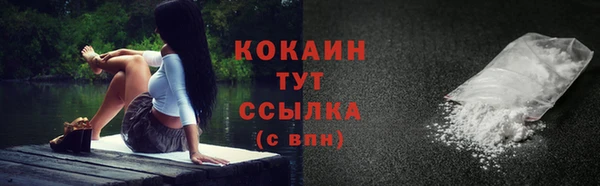 мяу мяу мука Бородино