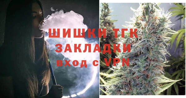 индика Бронницы