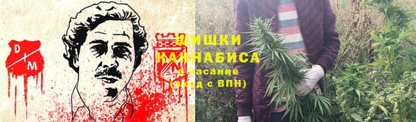мяу мяу мука Бородино