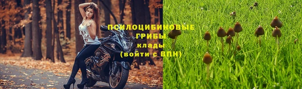 мяу мяу мука Бородино