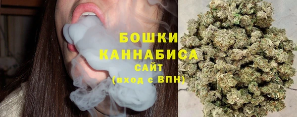 мяу мяу мука Бородино