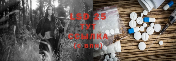 индика Бронницы