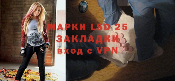 индика Бронницы