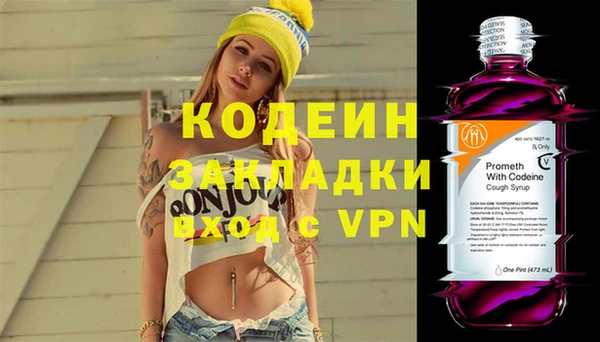 индика Бронницы