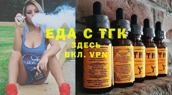 индика Бронницы